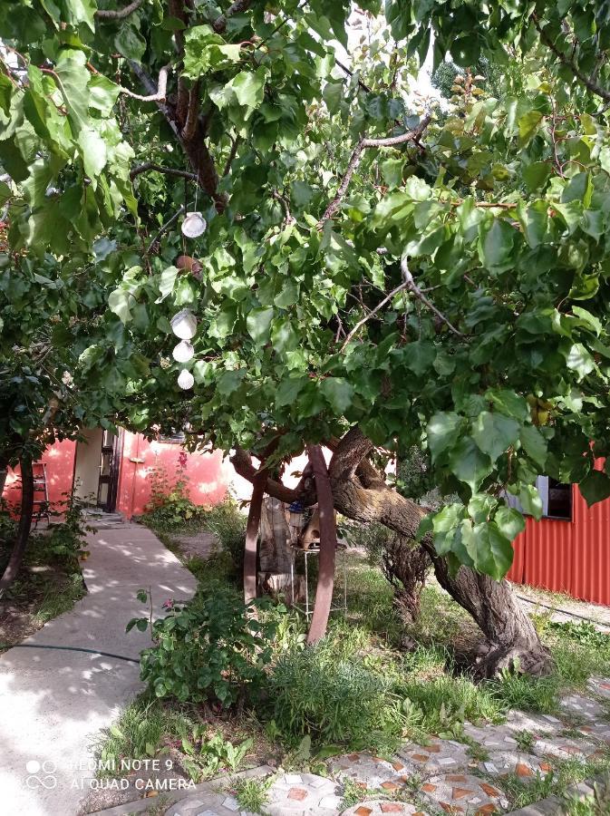 Calafate Viejo Hostel El Calafate Ngoại thất bức ảnh