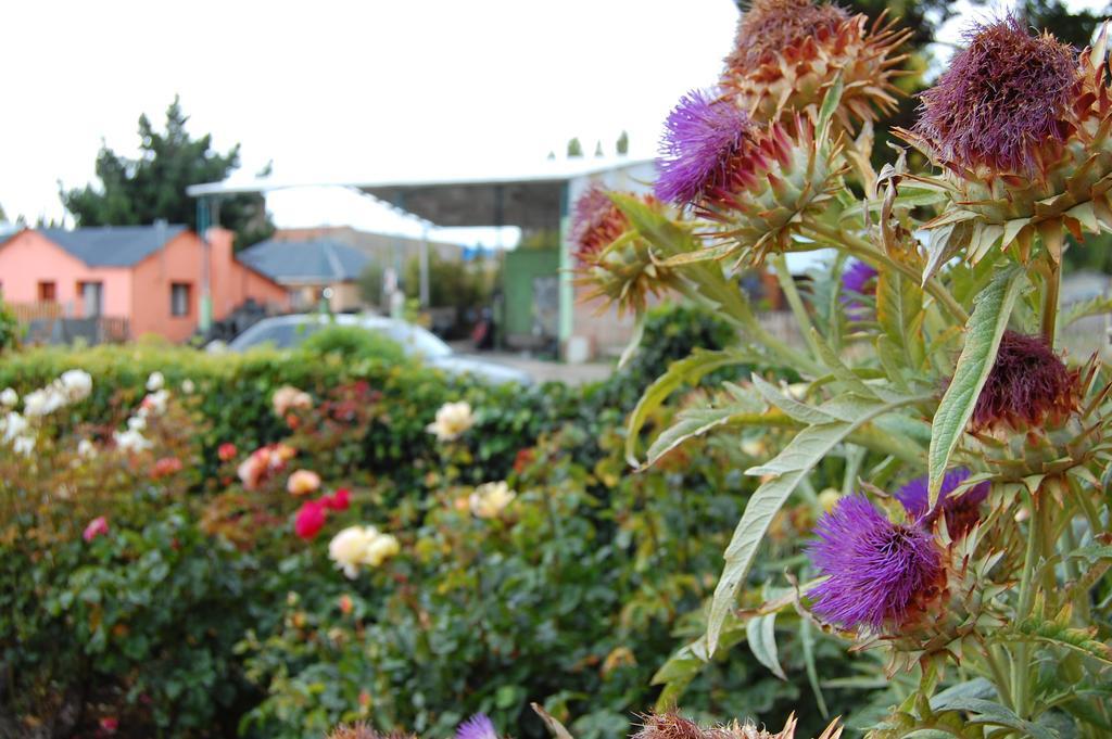 Calafate Viejo Hostel El Calafate Ngoại thất bức ảnh
