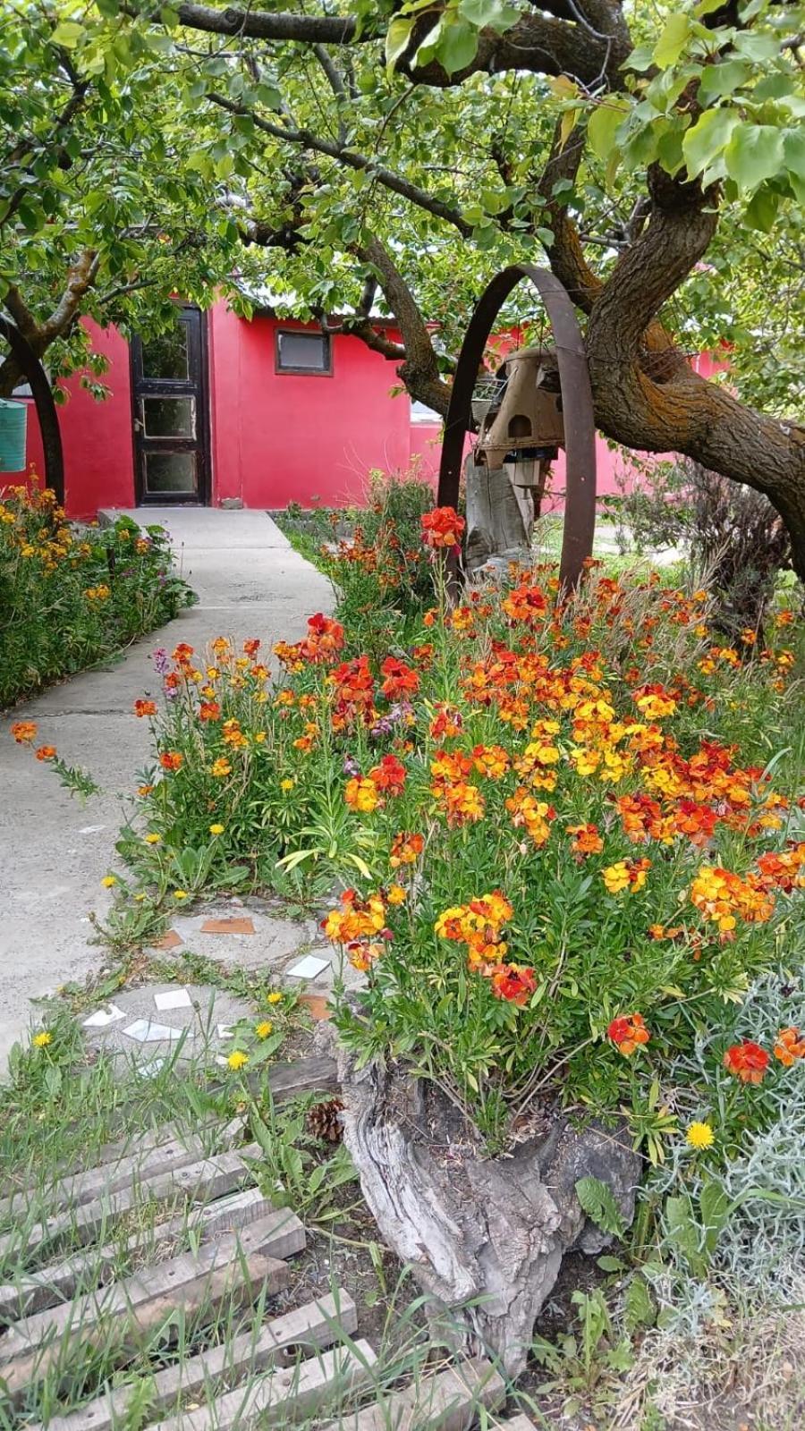 Calafate Viejo Hostel El Calafate Ngoại thất bức ảnh